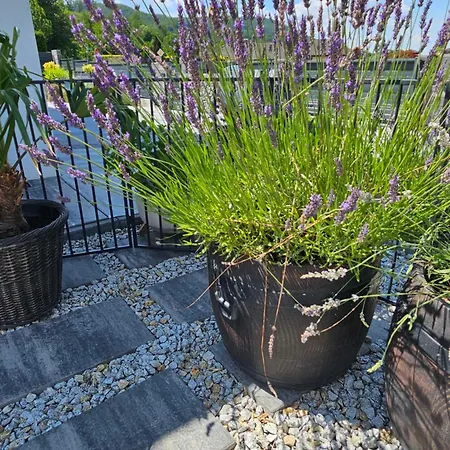 Jaworze Apartamento Jaworze