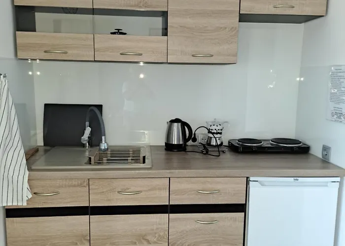 Jaworze 公寓 加沃泽