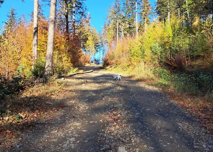 Jaworze * Явоже