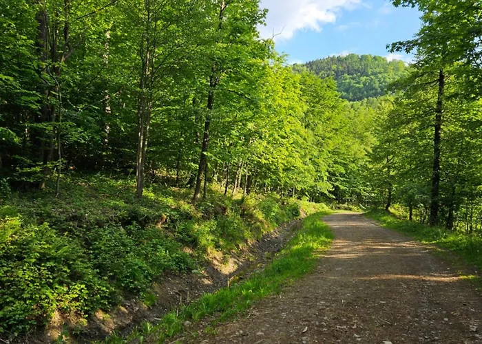 公寓 Jaworze 加沃泽